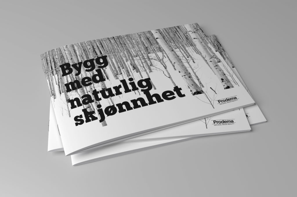 folleto noruego abedul inernacionalizacion marketing prodema imagen